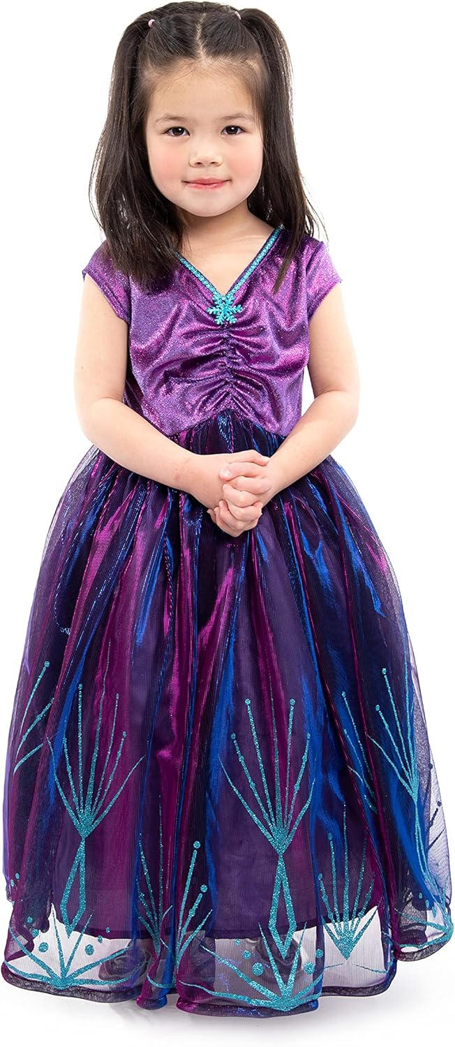 Little Adventures Ice Princess Dress Up Costume