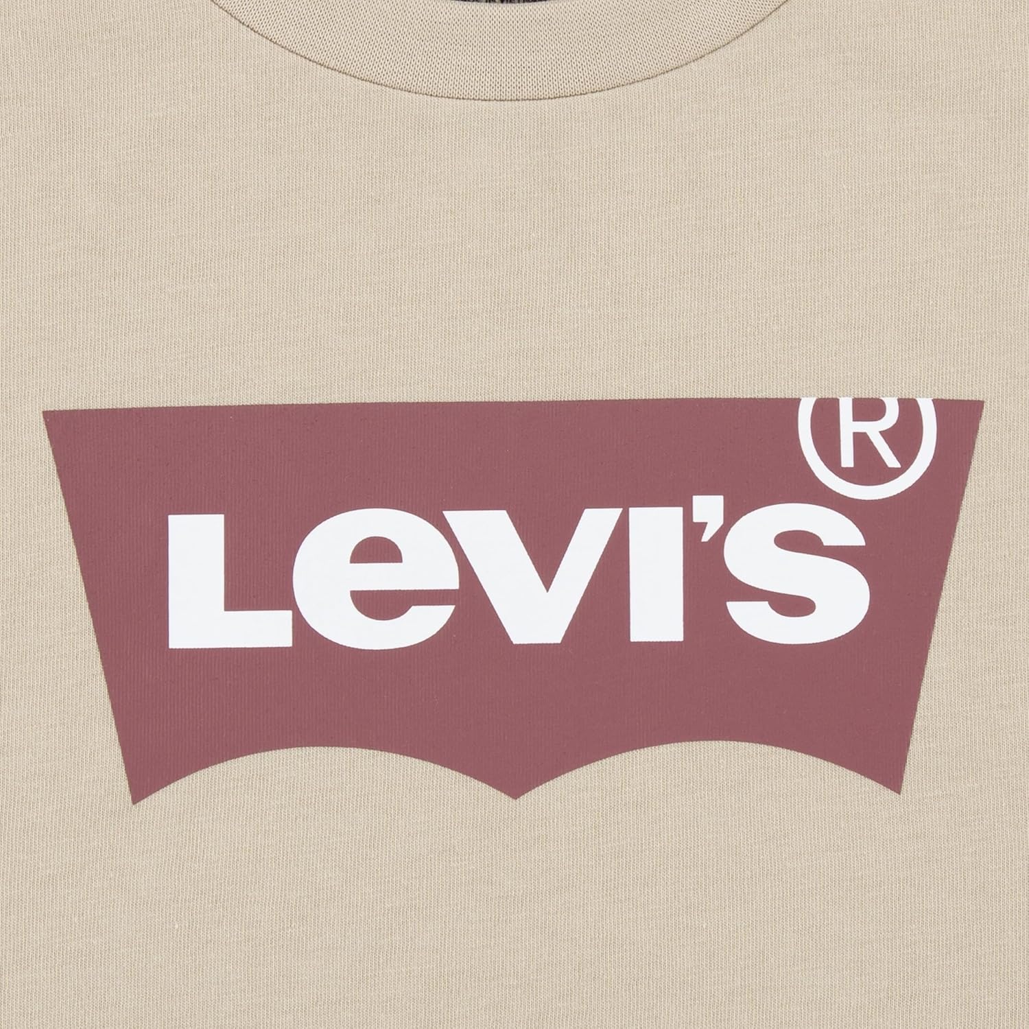 Levis Boys Baby Graphic T-Shirt Shorts Set