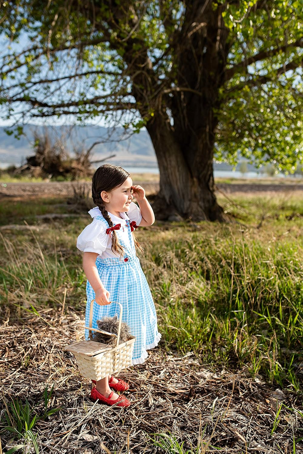 Little Adventures Kansas Girl Dress Up Costume