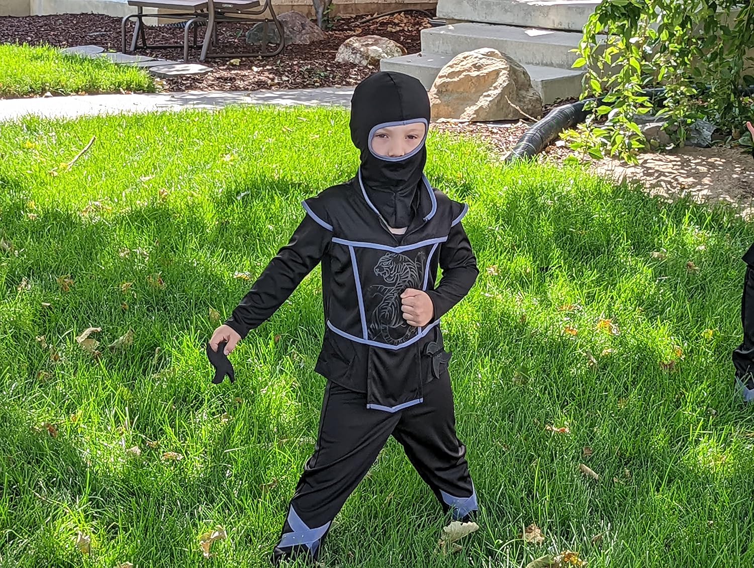 Little Adventures Ninja Costume