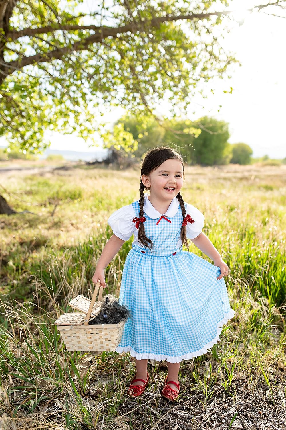 Little Adventures Kansas Girl Dress Up Costume