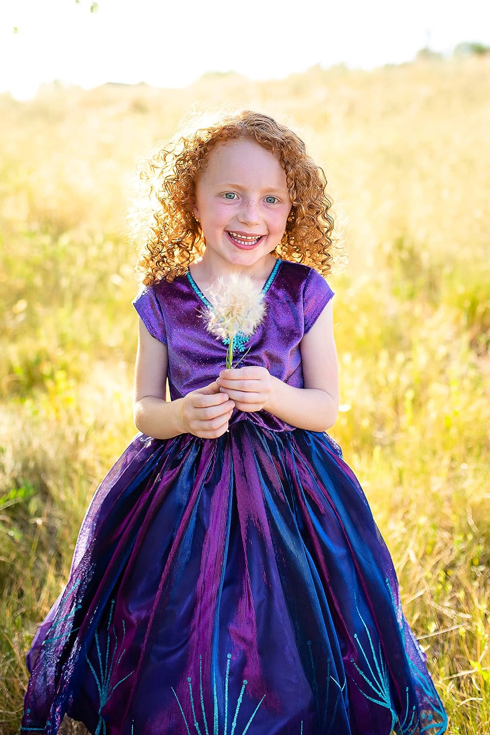 Little Adventures Ice Princess Dress Up Costume