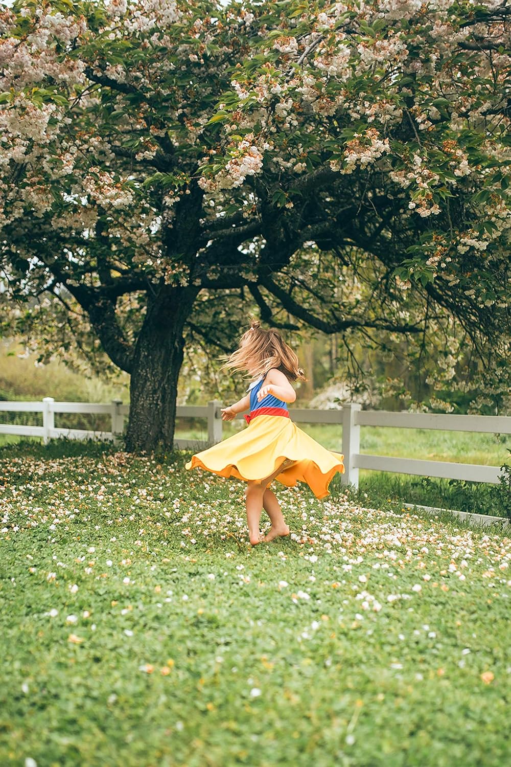 Little Adventures Snow White Princess Twirl Dress