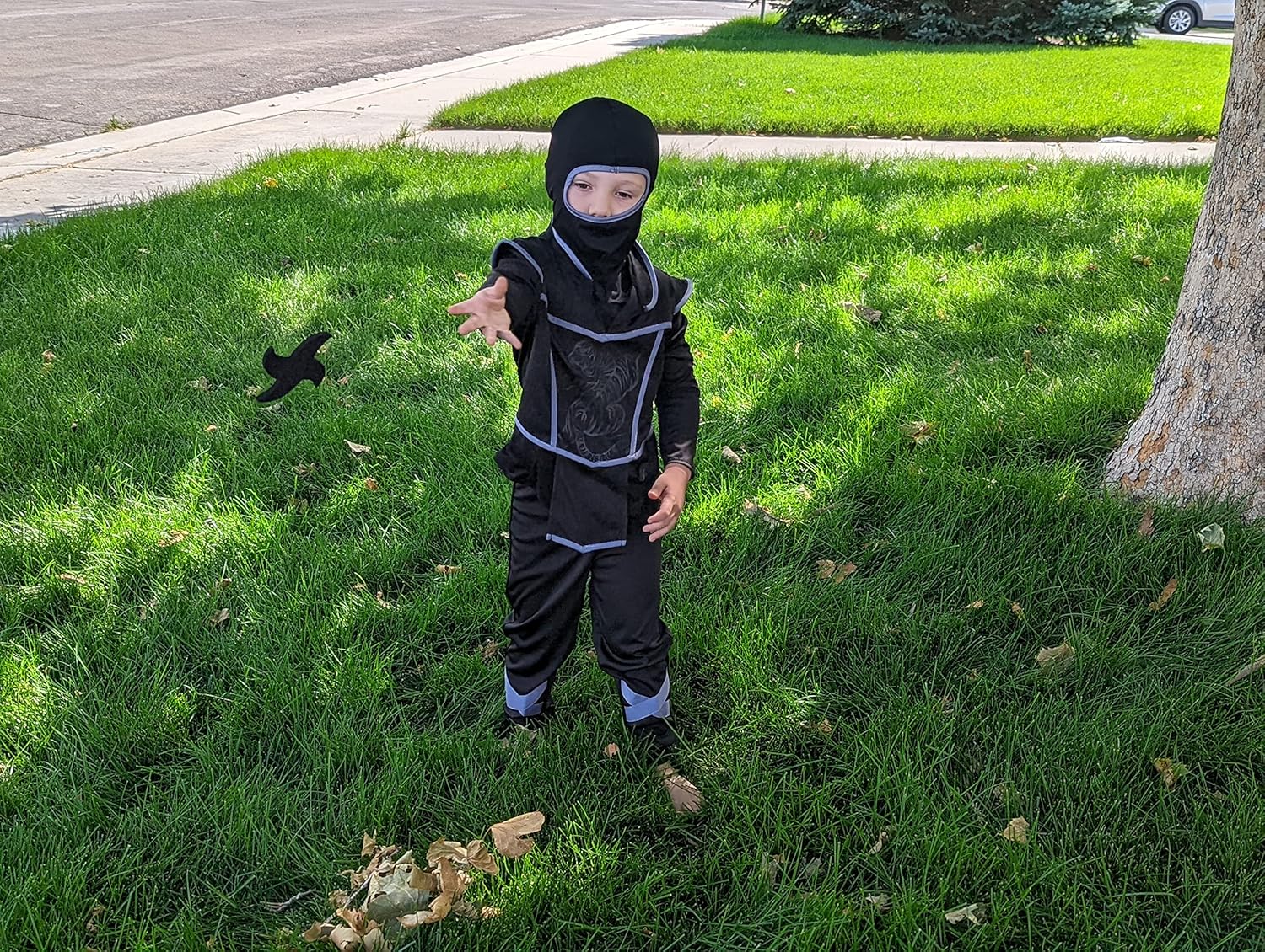 Little Adventures Ninja Costume